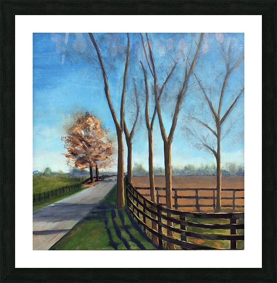 Late Fall Drive Picture Frame print