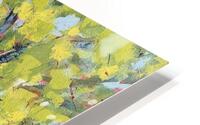 Summers Possibilities HD Metal print