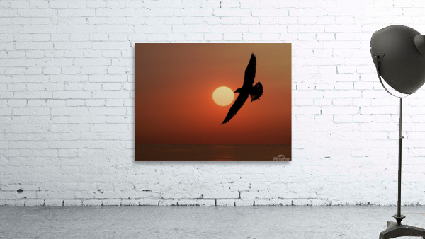 Fly High Wall Preview