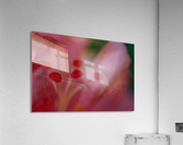 20200602185409 Acrylic Print