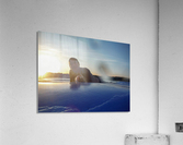20200710201624 Acrylic Print