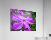 20200625183150 Acrylic Print