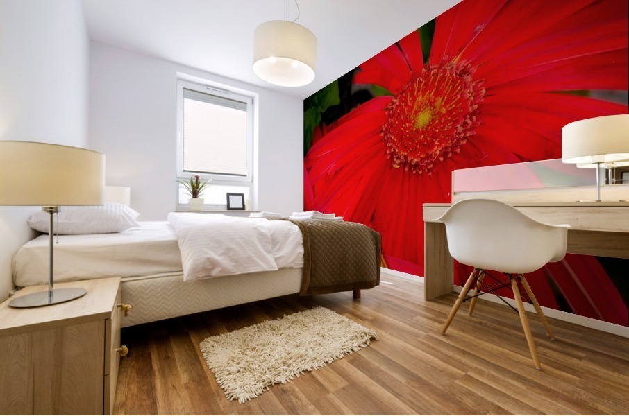 20200216141722 Mural print