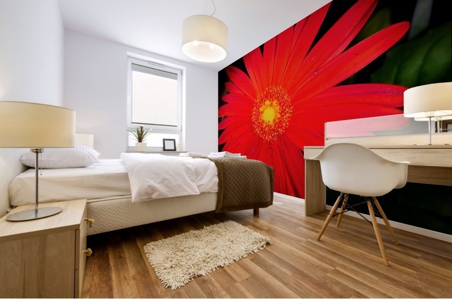 20200216141829 Mural print