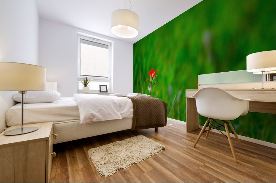 20200225175023 Mural print