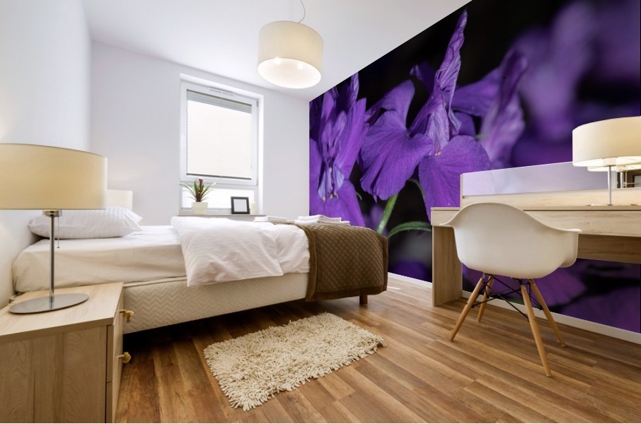 20200216173645 Mural print