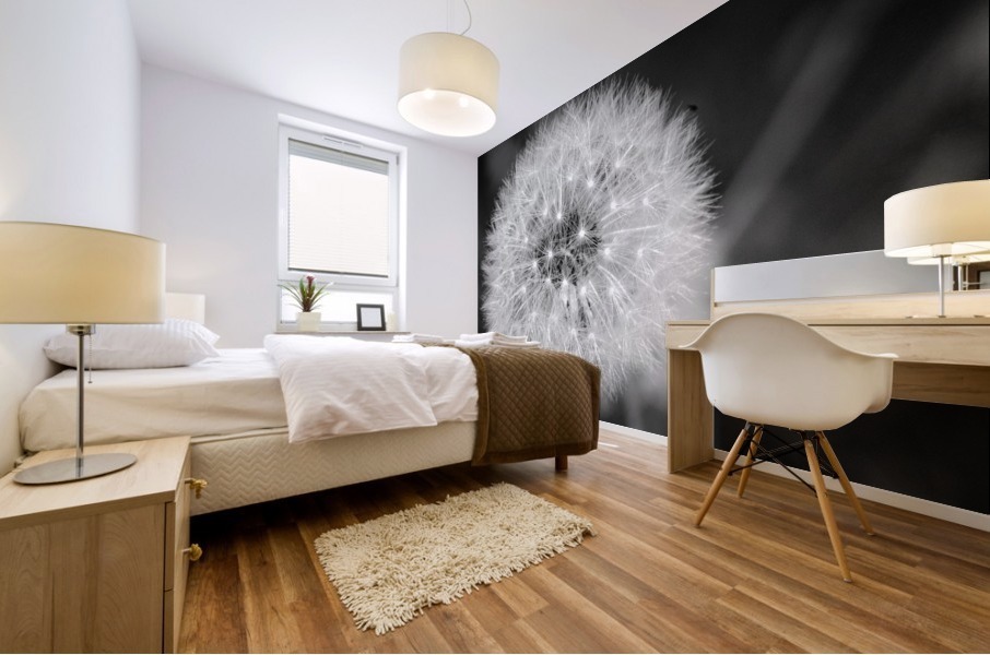 20200216172744 Mural print