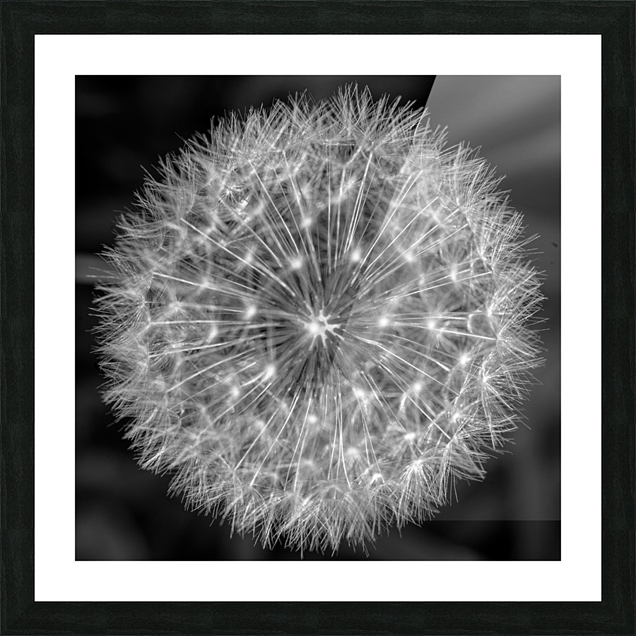20200216173549 Picture Frame print