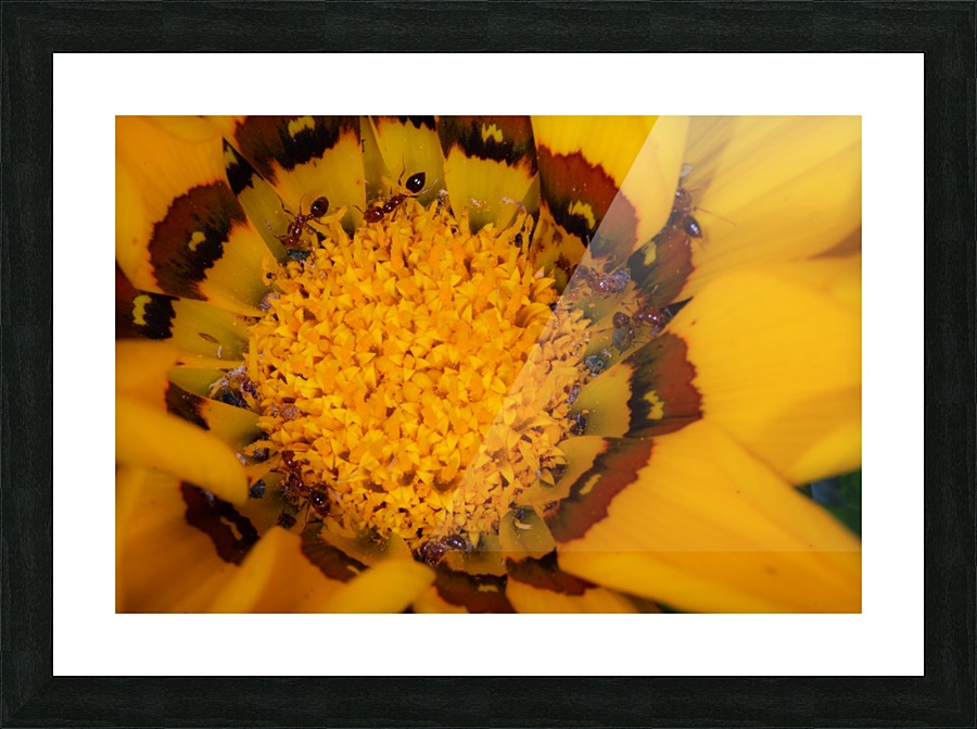20200216174556 Picture Frame print
