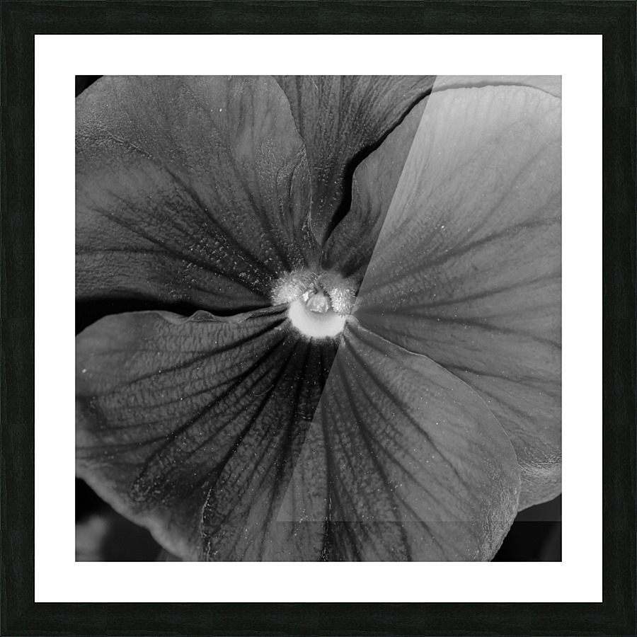 20200216174316 Picture Frame print