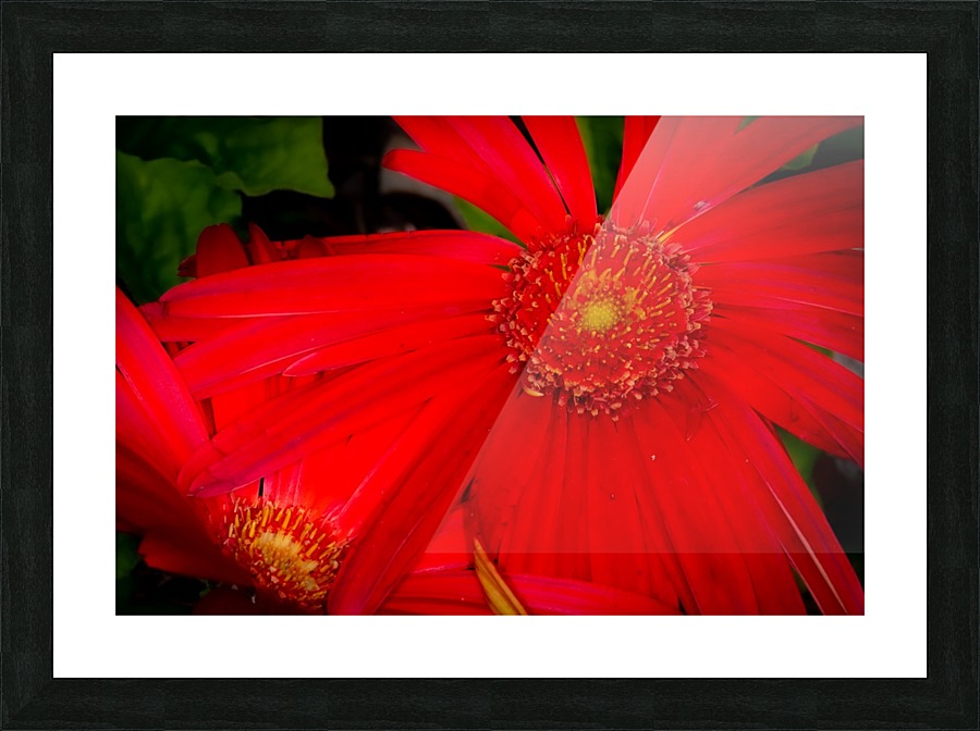 20200216141722 Picture Frame print