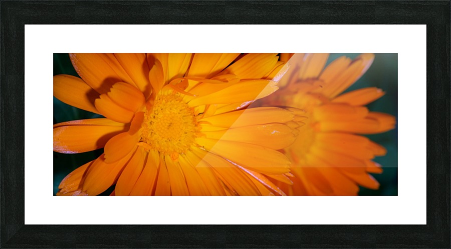 20200216174056 Picture Frame print