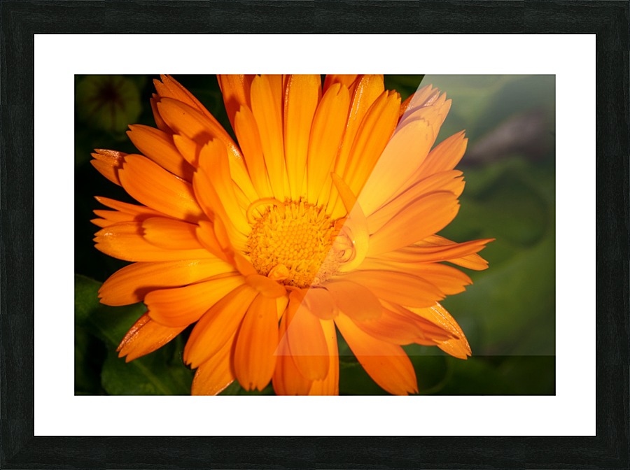 20200216174038 Picture Frame print