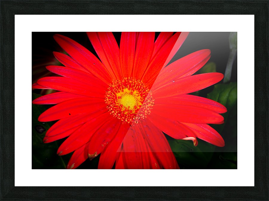 20200216141829 Picture Frame print