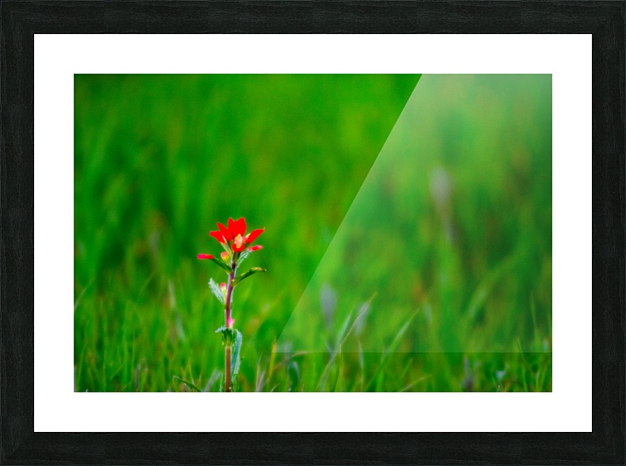 20200225175023 Picture Frame print