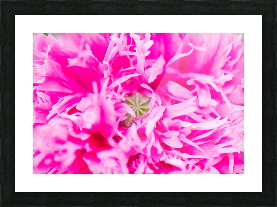 20200329174921 Picture Frame print
