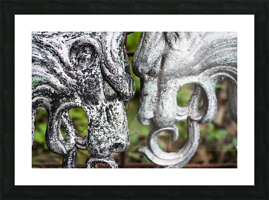 20200204121052 Picture Frame print