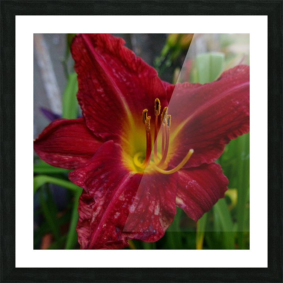 20190107014405 Picture Frame print