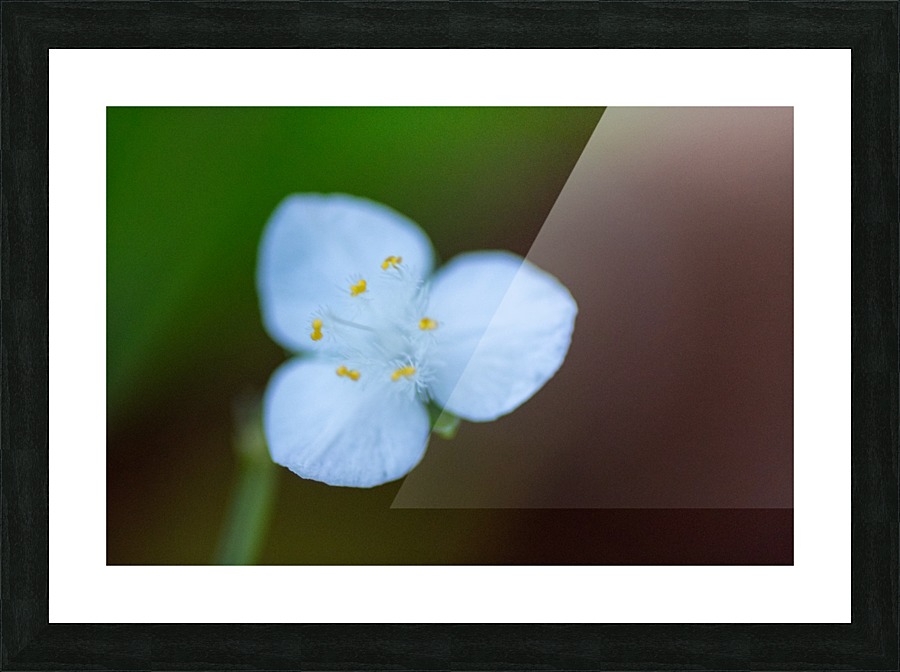 20200225144513 Picture Frame print