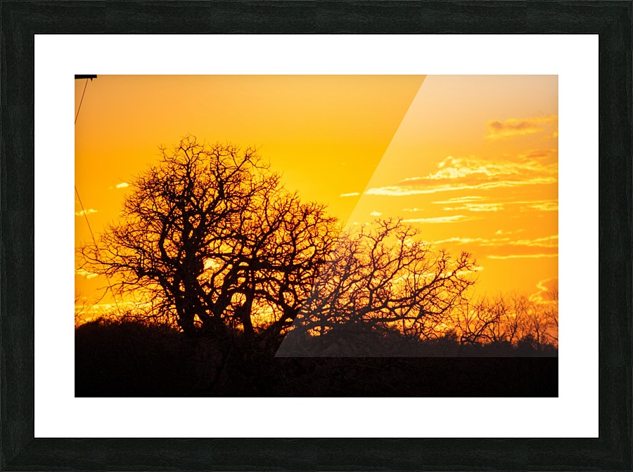 20200225182142 Picture Frame print