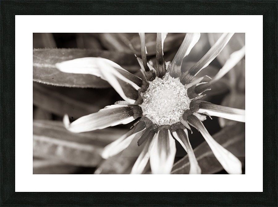 20200216174430 Picture Frame print