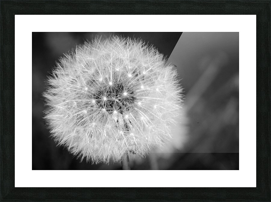 20200216172744 Picture Frame print