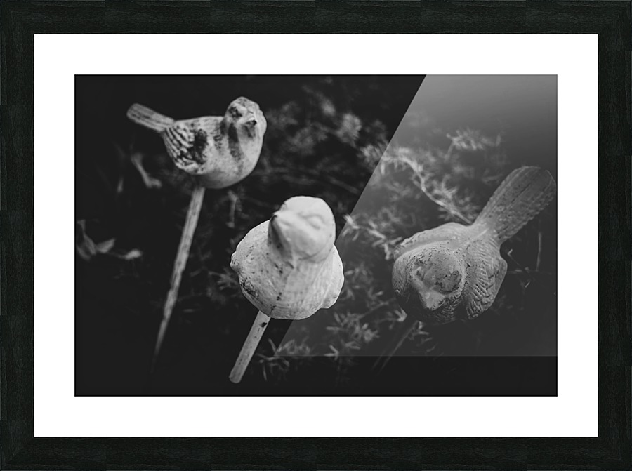 20200317172642 Picture Frame print