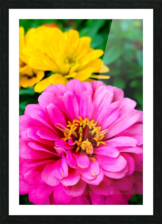 20190107025752 Picture Frame print