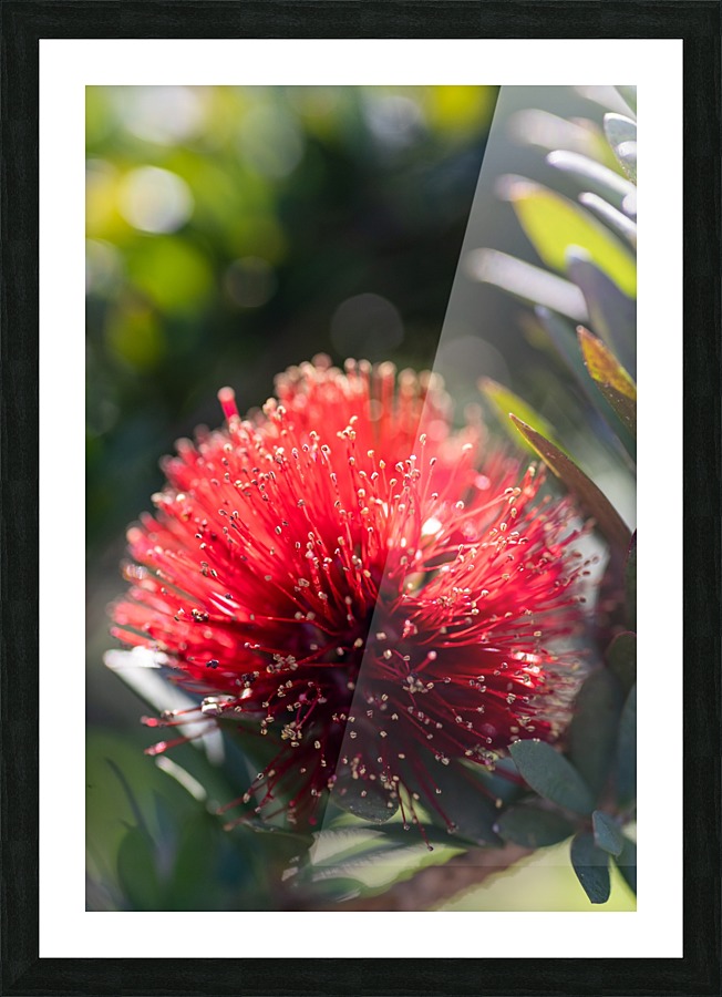 20200225151009 Picture Frame print