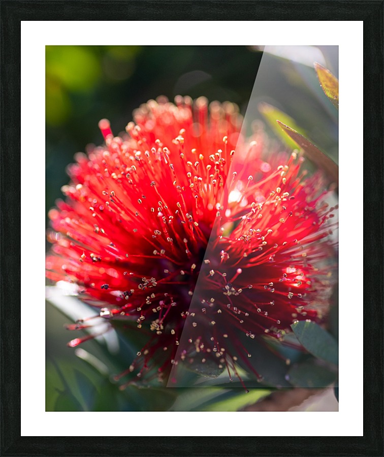 20200225151019 Picture Frame print