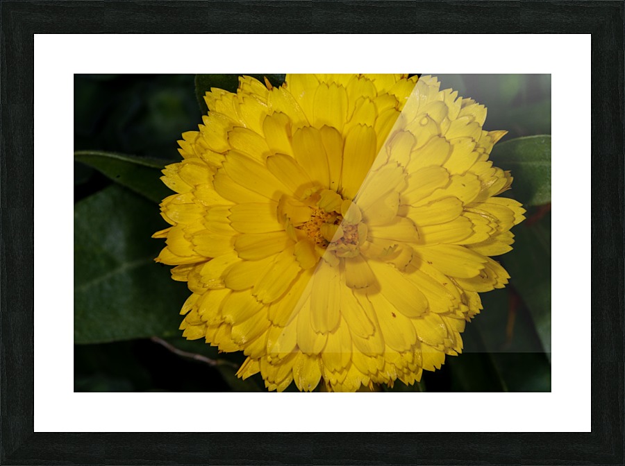 20200216173923 Picture Frame print