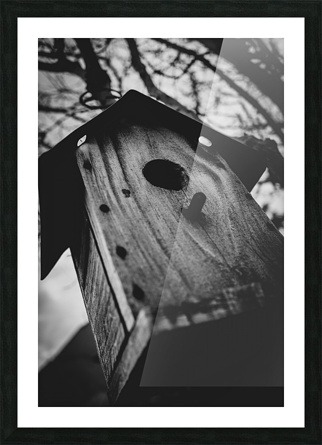 20200317172719 Picture Frame print