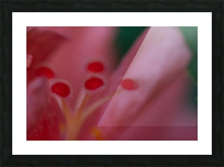 20200602185409 Picture Frame print