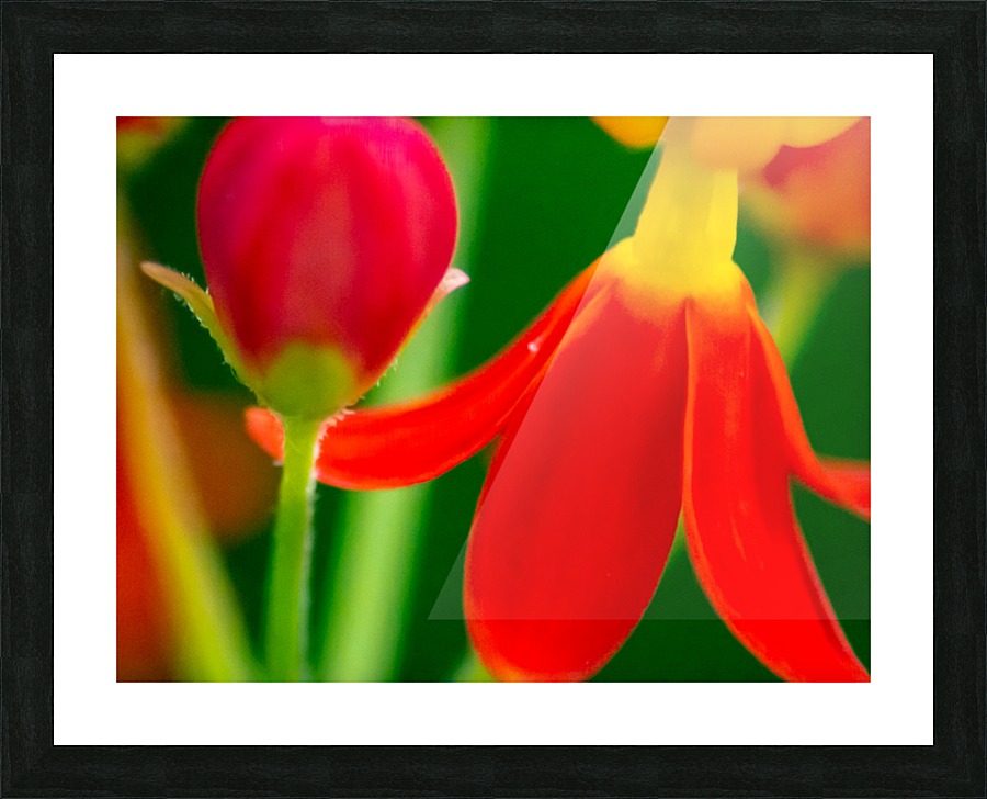 20200625185148 Picture Frame print