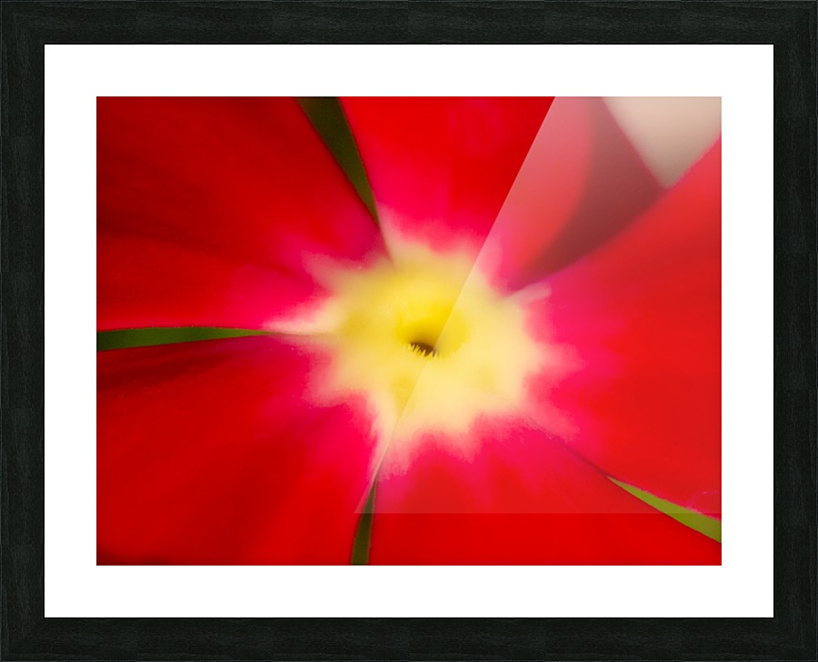 20200625181835 Picture Frame print