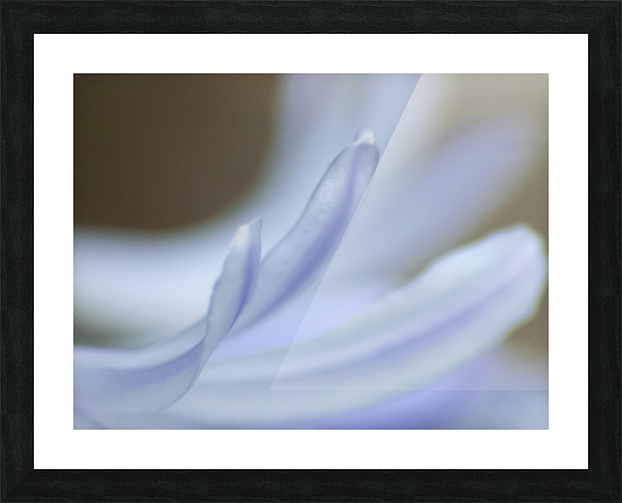 20200625181139 Picture Frame print