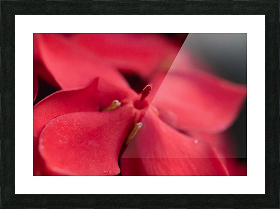 20200518183756 3 Picture Frame print