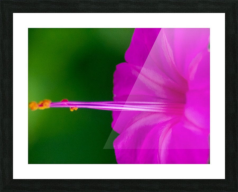 20200625183708 Picture Frame print