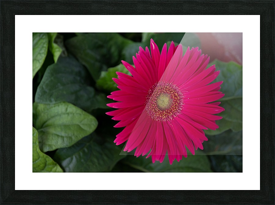20200602153837 Picture Frame print