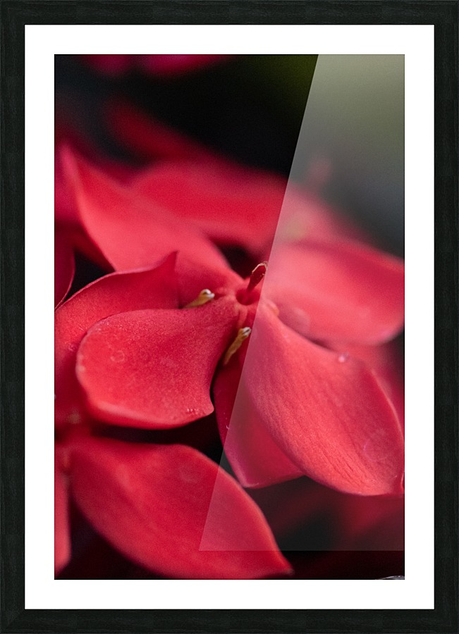 20200518183756 Picture Frame print