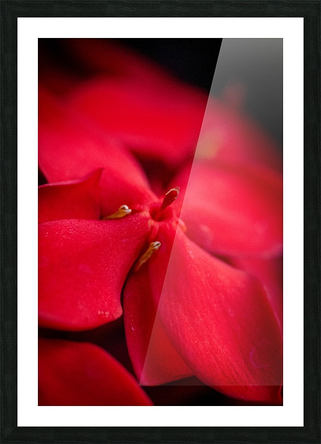 20200518183738 Picture Frame print