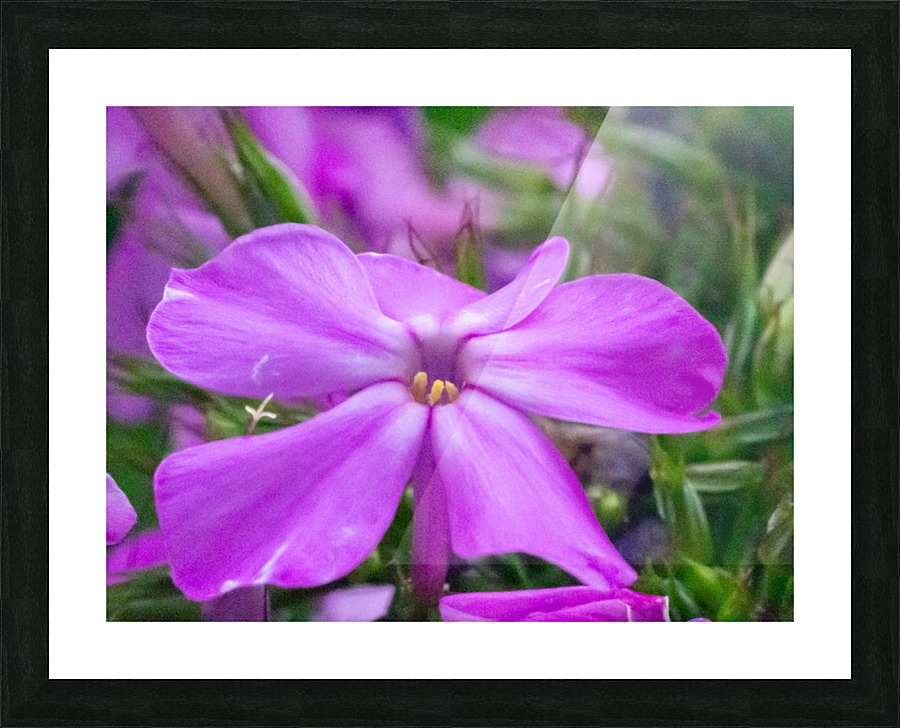 20200625183150 Picture Frame print