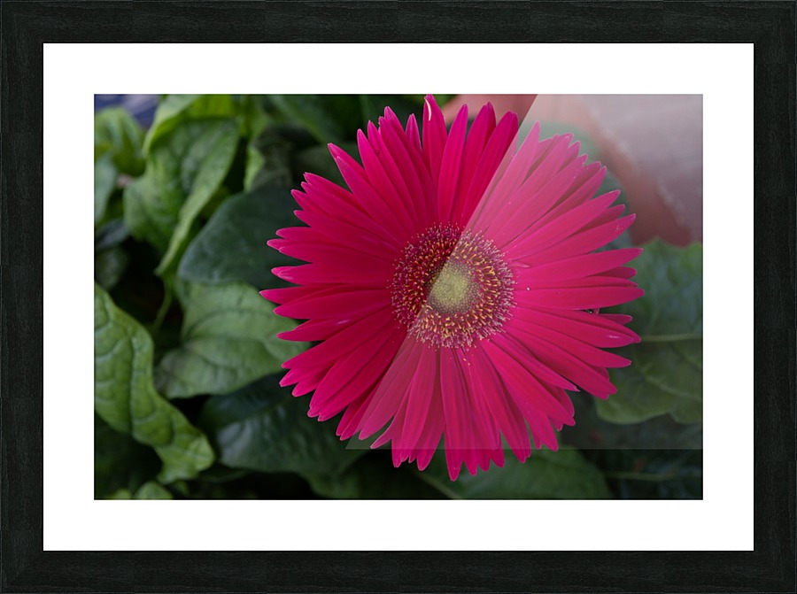 20200602153847 2 Picture Frame print