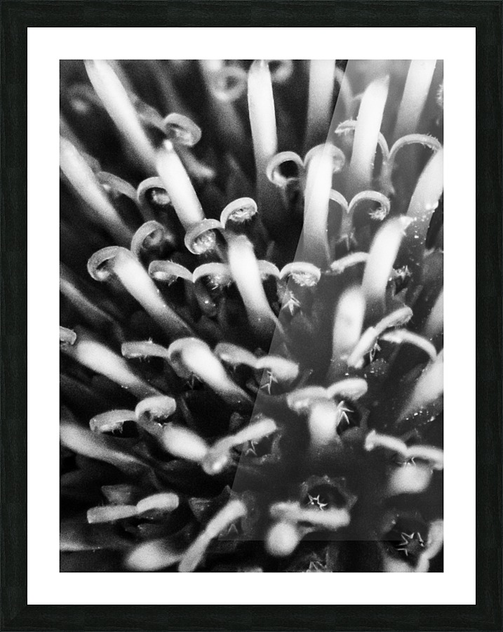 20200625182038 Picture Frame print