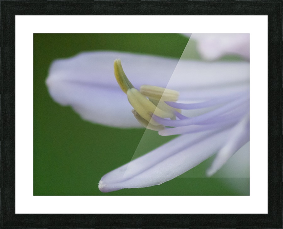 20200625181257 Picture Frame print