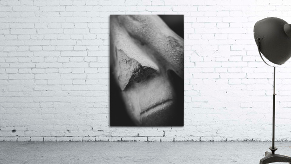 20200317171650 Wall Preview