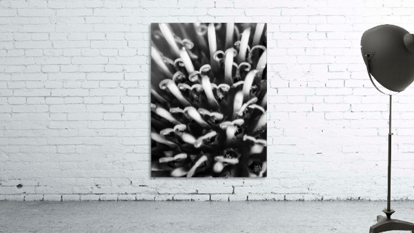 20200625182038 Wall Preview
