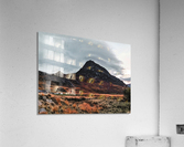 Terra Acrylic Print