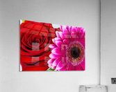 Petals Acrylic Print