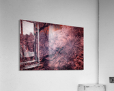 Alien Planet Acrylic Print